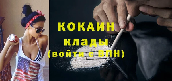 индика Волосово
