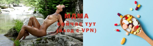 индика Волосово