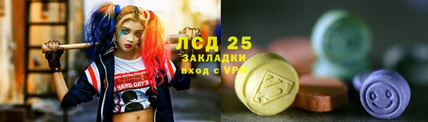 индика Волосово