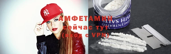 индика Волосово