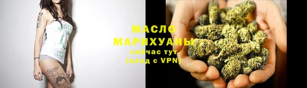 индика Волосово