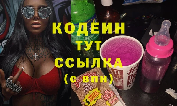 индика Волосово