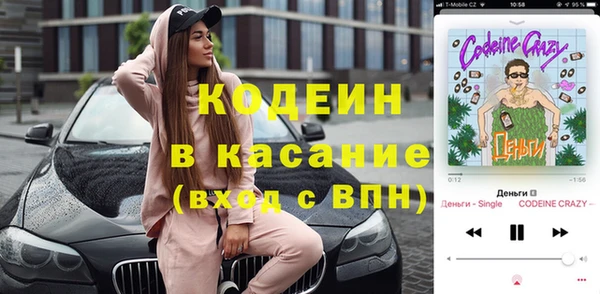 индика Волосово