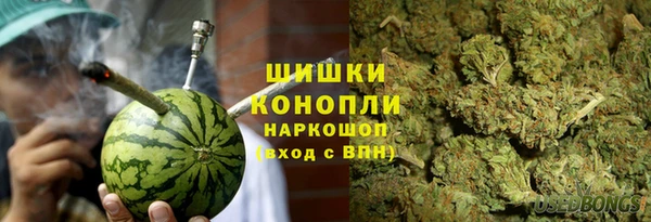 индика Волосово