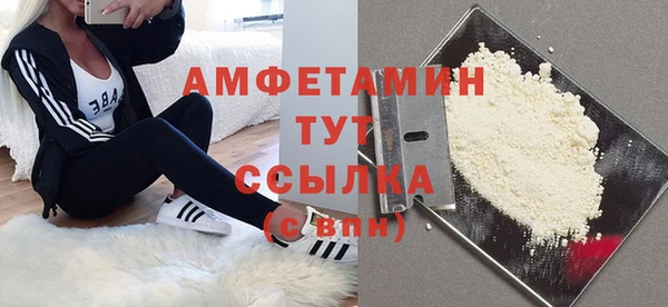 индика Волосово