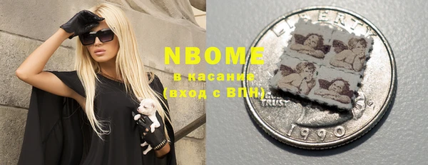 индика Волосово